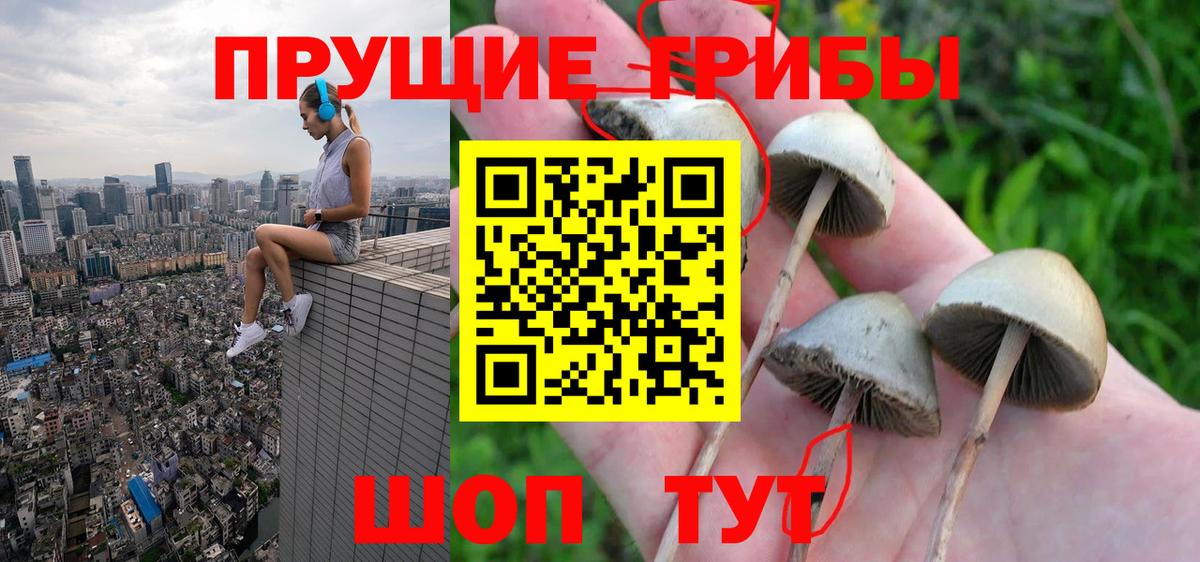 Галлюциногенные грибы ЛСД  Вход с VPN  Тавда 