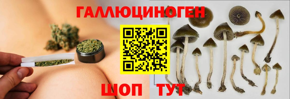 Галлюциногенные грибы MAGIC MUSHROOMS Тавда